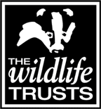 https://www.verticalmeadow.com/wp-content/uploads/The-wildlife-trust.png