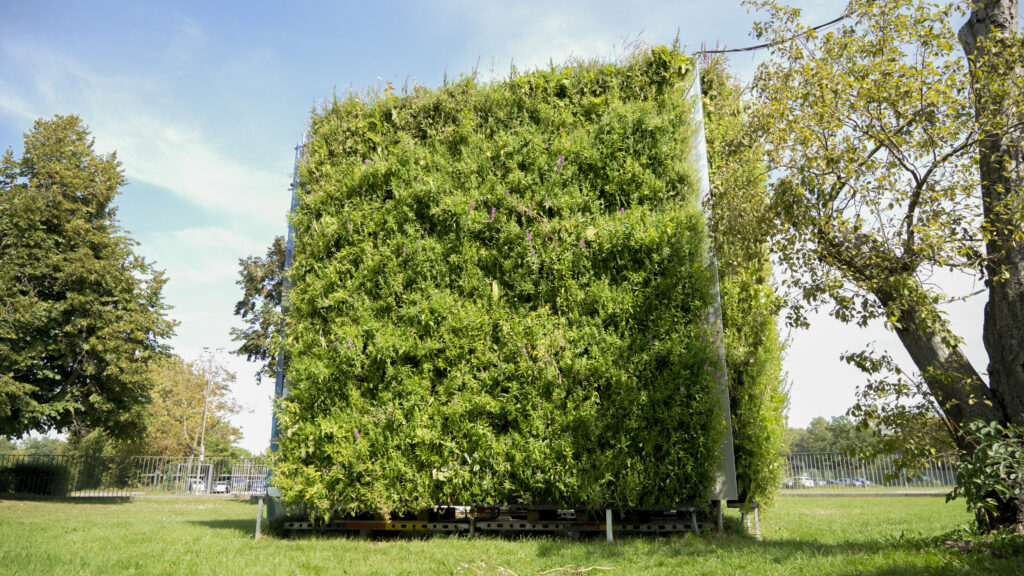 Our first Vertical Meadow Cladding demonstrator is currently being grown and tested in Gundelfingen, Germany.